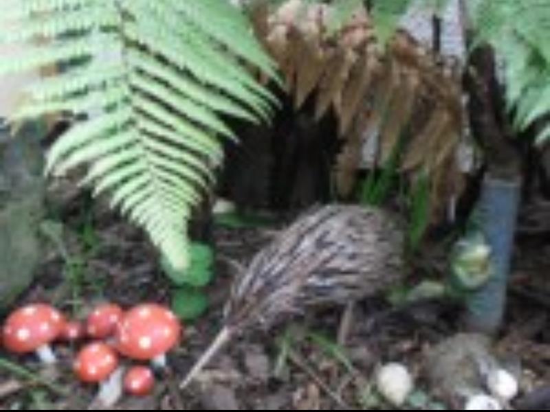 Holiday park Kiwi &